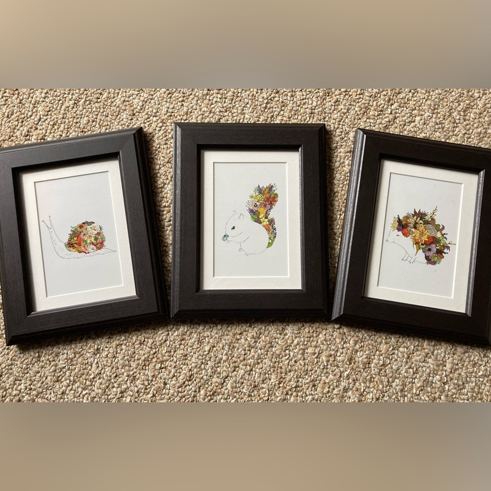 Whimsical framed prints! 🐌🐿🦔 Set of three